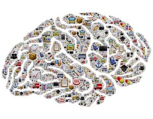 Brain image made of many things