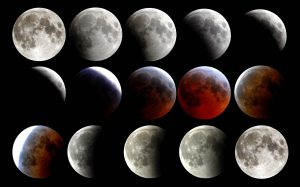 Stages of the moon